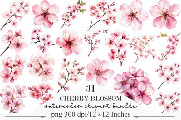 Download Watercolor Cherry Blossom Clipart - Blossom Collection