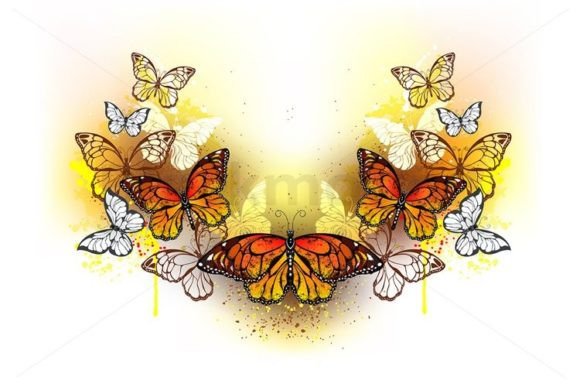 Download Symmetrical Pattern of Butterflies - Symmetrical pattern Collection