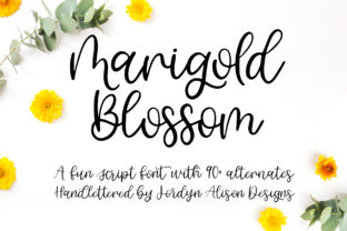 Download Marigold Blossom - Blossom Collection
