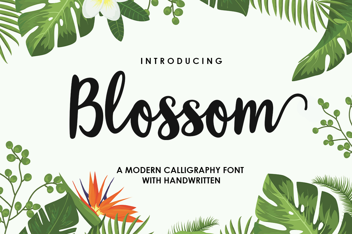 Download Blossom Script Font&nbsp; - Blossom Collection