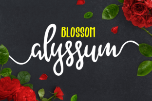 Download Alyssum Blossom - Blossom Collection